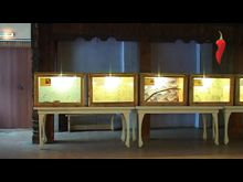 Перец-Рапид: Зоотеррариум в Великих Луках