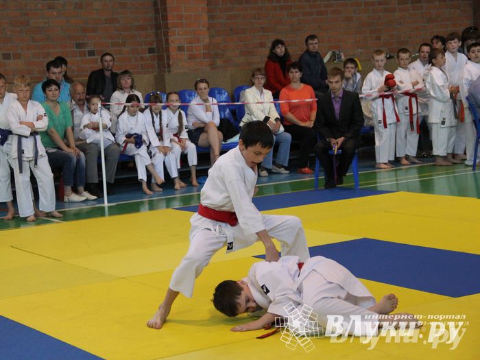 Великолучане стали победителями турнира по каратэ «Неприкосновенный запас, дети — Отчизны 2015» (фото)