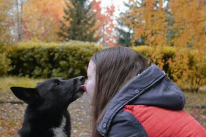 Объявляем победителей фотоконкурса «Косточка к Новому году» (ФОТО)