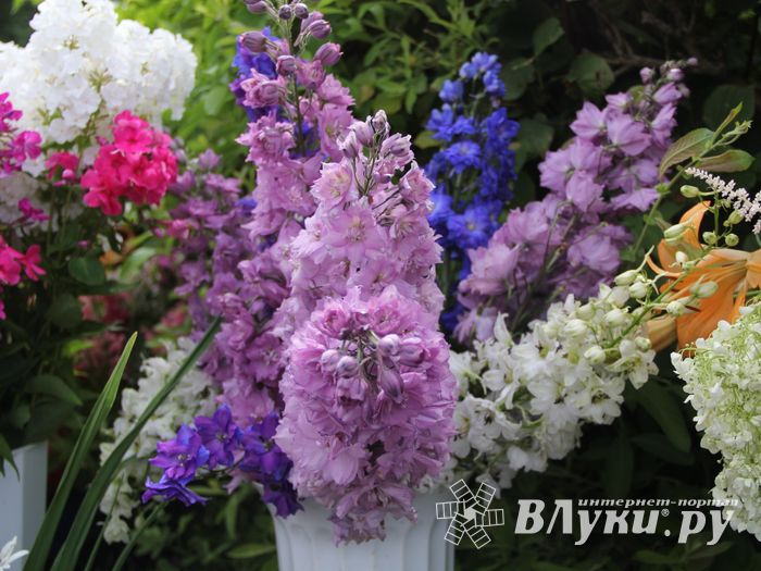 «Парад детских колясок» в День семьи, любви и верности (ФОТО)