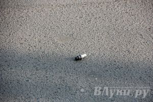 ДТП на перекрестке улиц Малышева и М. Кузьмина (фото)