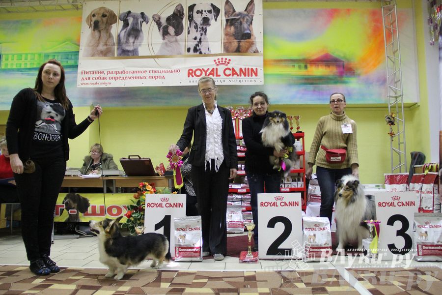 Всероссийская выставка собак «Великие Луки — 2014»