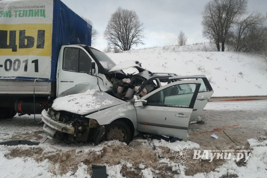 Смертельное ДПТ произошло в Куньинском районе (ФОТО)