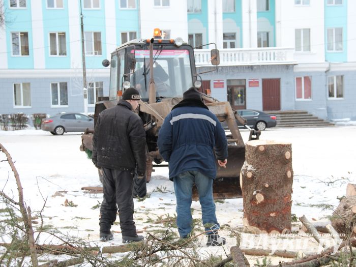 Главная городская ёлка отправилась на свалку (ФОТО)