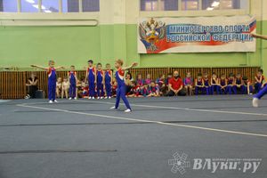 В Великих Луках состоялось Первенство по командной гимнастике (фото)