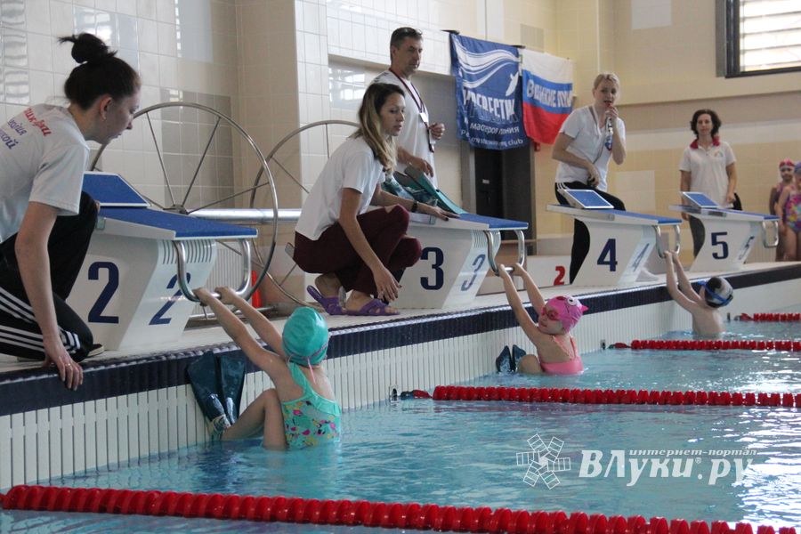 В «Айсберге» прошло Первенство города по плаванию (ФОТО)