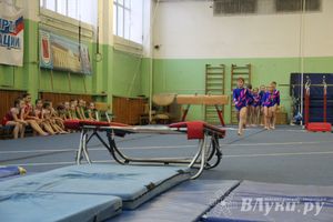 В Великих Луках состоялось Первенство по командной гимнастике (фото)