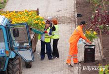 В Великих Луках сажают, стригут и красят (ФОТО)
