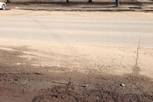 Снег ушел, пыль и грязь вернулись (фото)