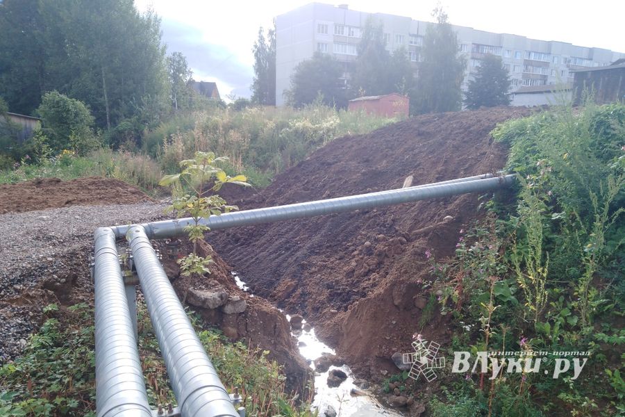 Великолукскую семью вновь превращают в робинзонов (ФОТО)