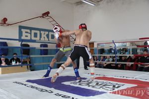 В Великих Луках прошел Чемпионат области по смешанному боевому единоборству (фото)