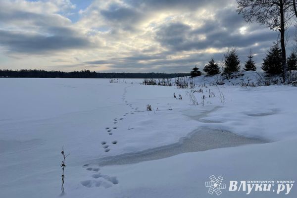 Оттепель запустила на водоёмах средней полосы весенние процессы