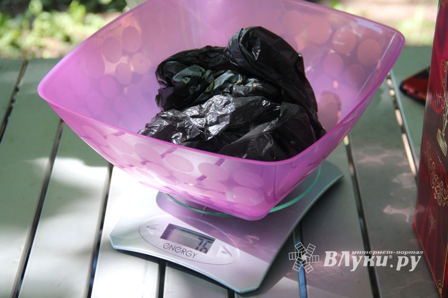 В Великих Луках состоялся Чемпионат города по ловле рыбы спиннингом (ФОТО)