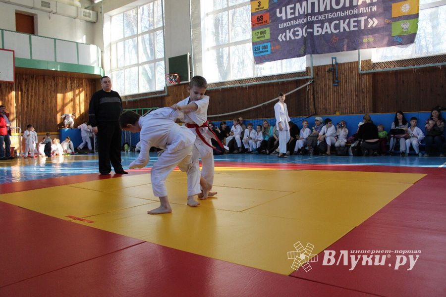 Юные великолучане приняли участие в турнире по дзюдо «Крепыш» (ФОТО)