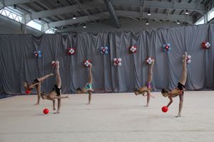 Великолучане стали призерами открытого турнира по художественной гимнастике (ФОТО)