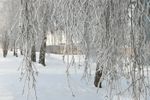 ВЛуки.ру