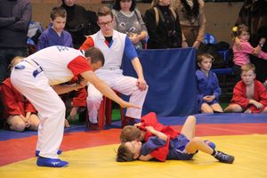 В Великих Луках проходит турнир самбистов (ФОТО)