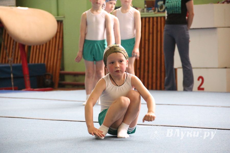 В Великих Луках прошло первенство по спортивной гимнастике (ФОТО)