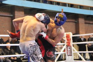 В Великих Луках прошел межрегиональный Открытый Кубок по смешанному боевому единоборству (фото)