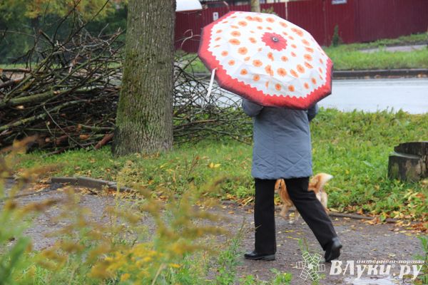 На Северо-Западе  время от времени будут лить дожди