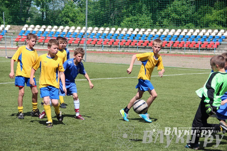 «Локобол-2013» в Великих Луках