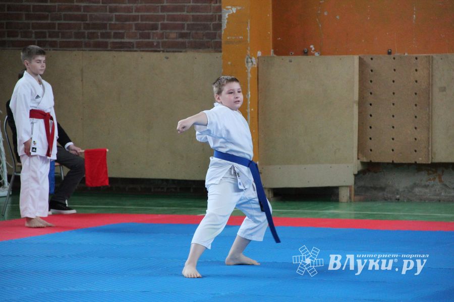 Открытый Кубок города Великие Луки по каратэ WKF (ФОТО)