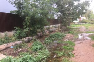 В Великих Луках забил «гейзер», по словам коммунальщиков, «рядовая ситуация» (ФОТО+ЗВУК)