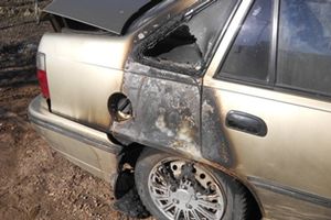 В Псковской области сгорел автомобиль (ФОТО)