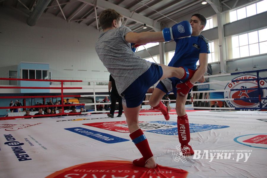 Открытый кубок по смешанному боевому единоборству ММА прошел в Великих Луках (ФОТО)
