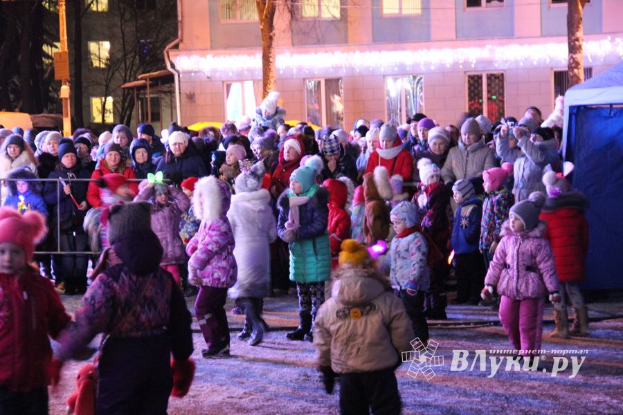 В Великих Луках зажгли Ёлку (ФОТО)