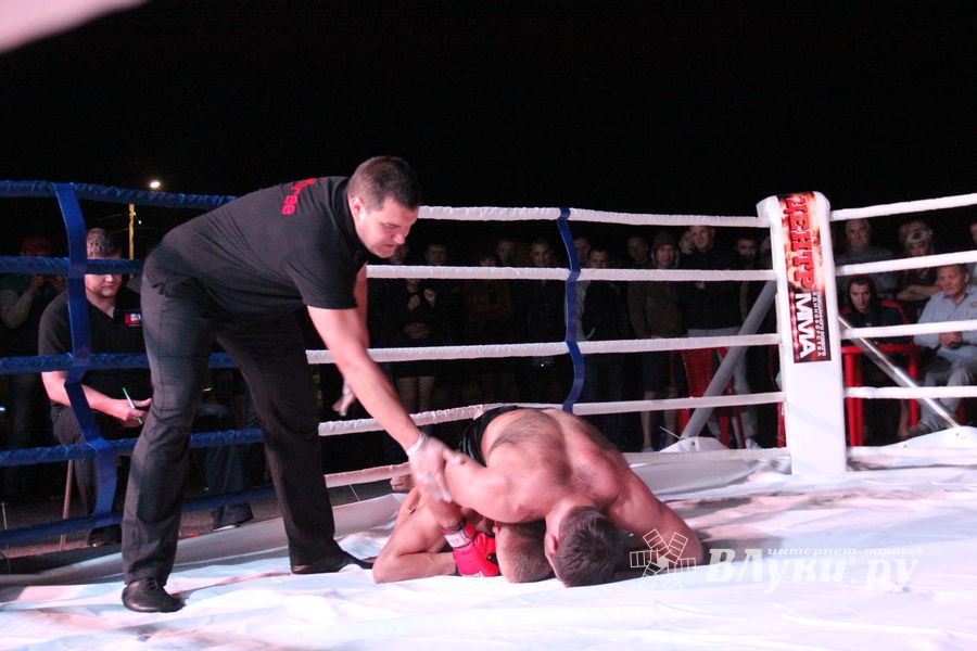В Великих Луках прошли бои по смешанным боевым единоборствам ММА (фото)