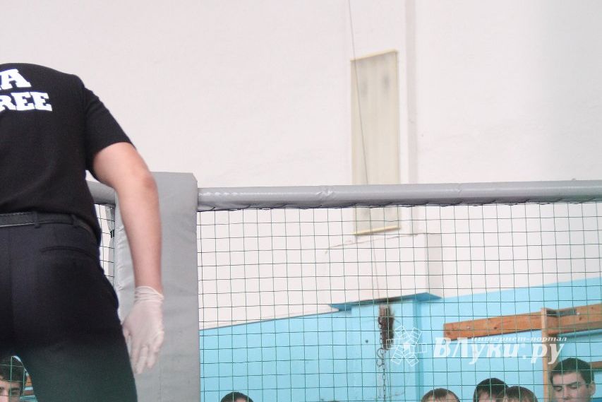 Первый чемпионат и первенство Псковской области по смешанным боевым искусствам «ММА»