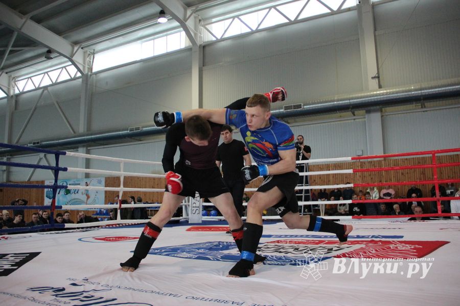 Открытый кубок по смешанному боевому единоборству ММА прошел в Великих Луках (ФОТО)