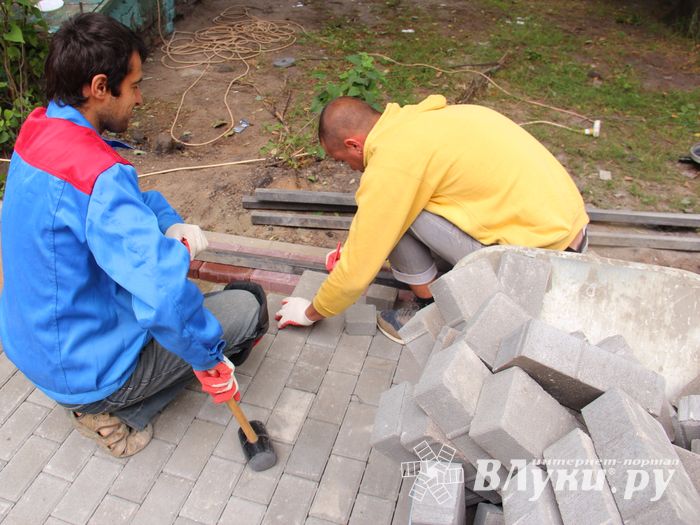В Великих Луках сажают, стригут и красят (ФОТО)