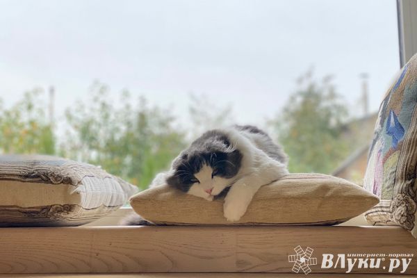 Прогноз погоды в Великих Луках на 6 ноября