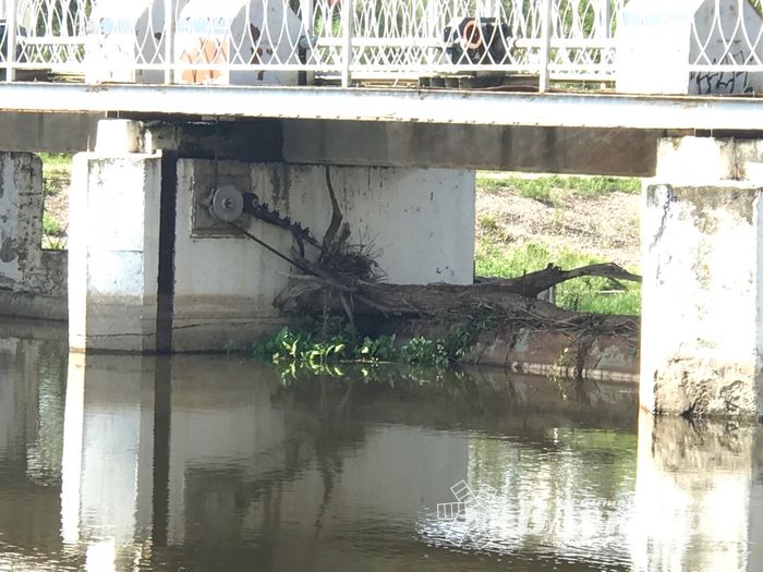 Фотофакт: застряла в плотине