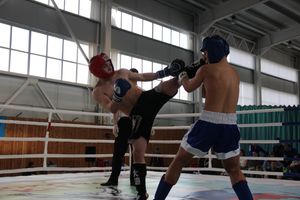 В Великих Луках прошел Кубок области по кикбоксингу (ФОТО)