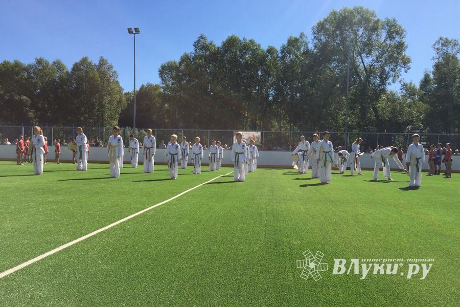 Спортивно-массовые мероприятия в честь Дня города (ФОТО)