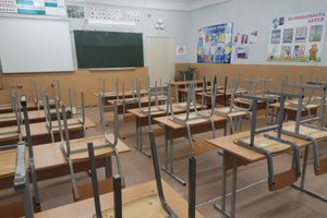 © ВЛуки.ру
