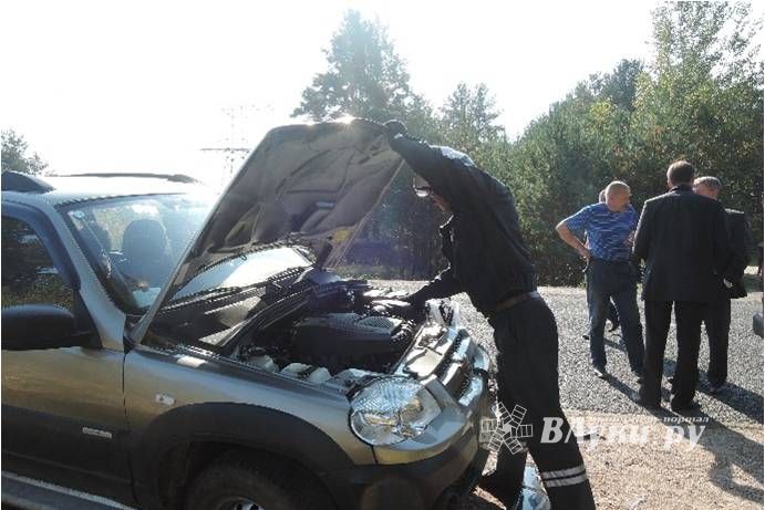 7 человек погибли, 51 пострадал на дорогах Псковской области за неделю (фото)