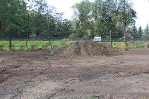 В великолукском парке приступили к планировке территории (ФОТО)