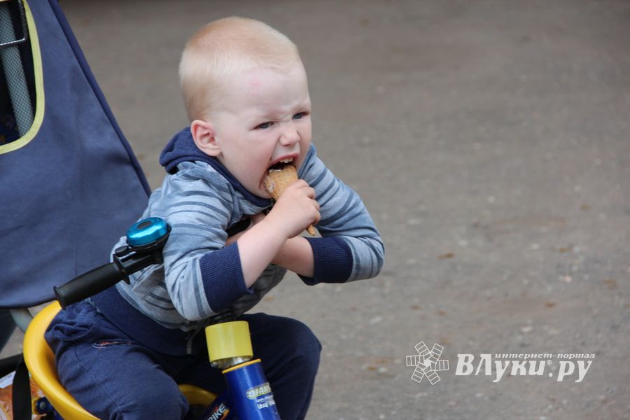 В Великих Луках чествовали близнецов (ФОТО)