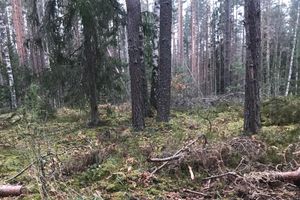 Великолукская семья навела порядок в Сенчитах (ФОТО)