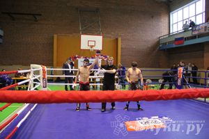 В Великих Луках прошел межрегиональный Открытый Кубок по смешанному боевому единоборству (фото)