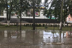 Луки в лужах (ФОТО)