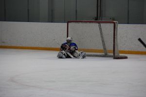 В Великих Луках прошел детский Открытый турнир по хоккею (ФОТО)