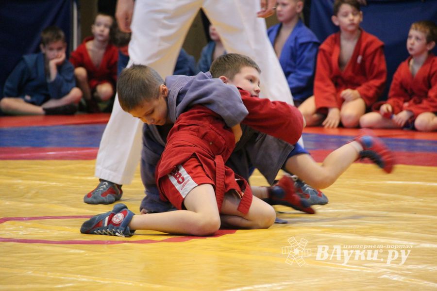 Открытый турнир по самбо «Новогодняя звезда-2019» прошел в Великих Луках (ФОТО)