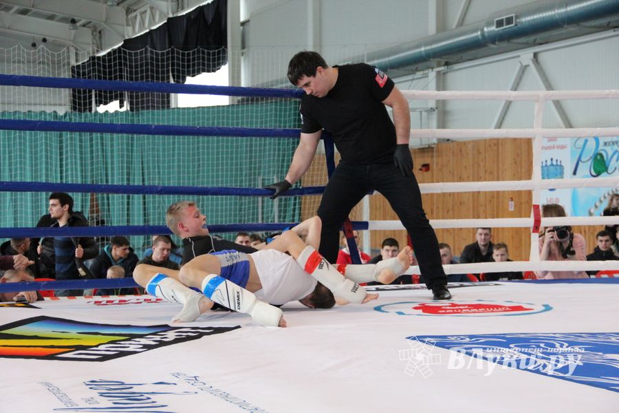 Открытый кубок по смешанному боевому единоборству ММА прошел в Великих Луках (ФОТО)