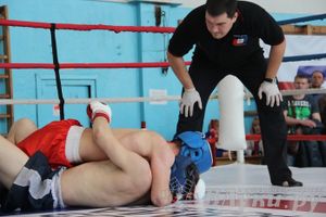 Чемпионат Псковской области по ММА
