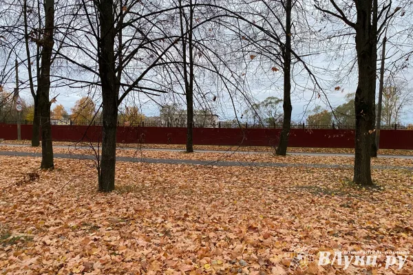 Сегодня в Великих Луках обещают переменную облачность